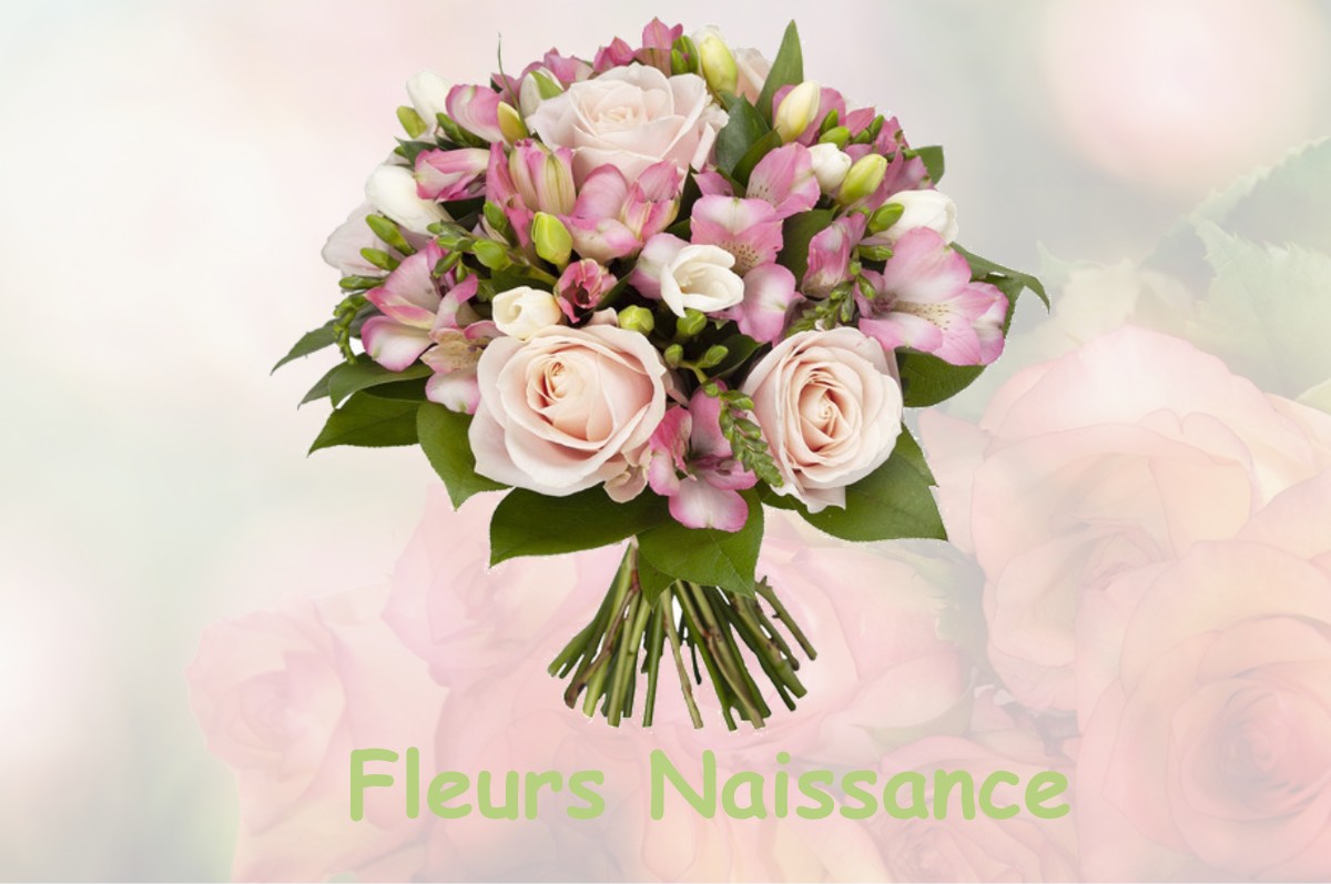 fleurs naissance DAMMARTIN-MARPAIN