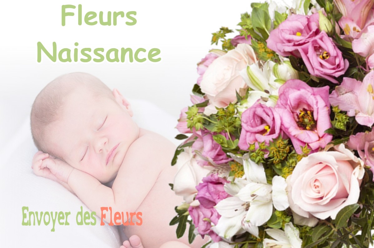 lIVRAISON FLEURS NAISSANCE à DAMMARTIN-MARPAIN