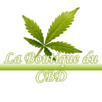 LA BOUTIQUE DU CBD DAMMARTIN-MARPAIN 